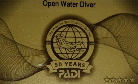 padi open water license for scuba diving